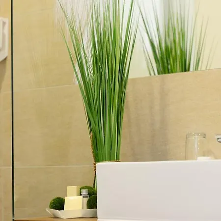 מלון Zar-hotel Vitalis 3*